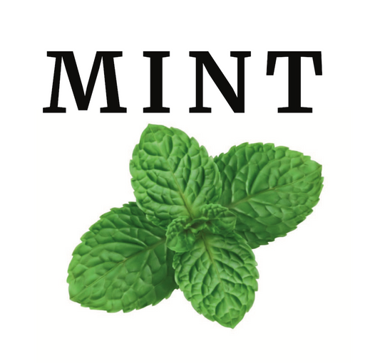 100g Mint Mineral Toothpaste